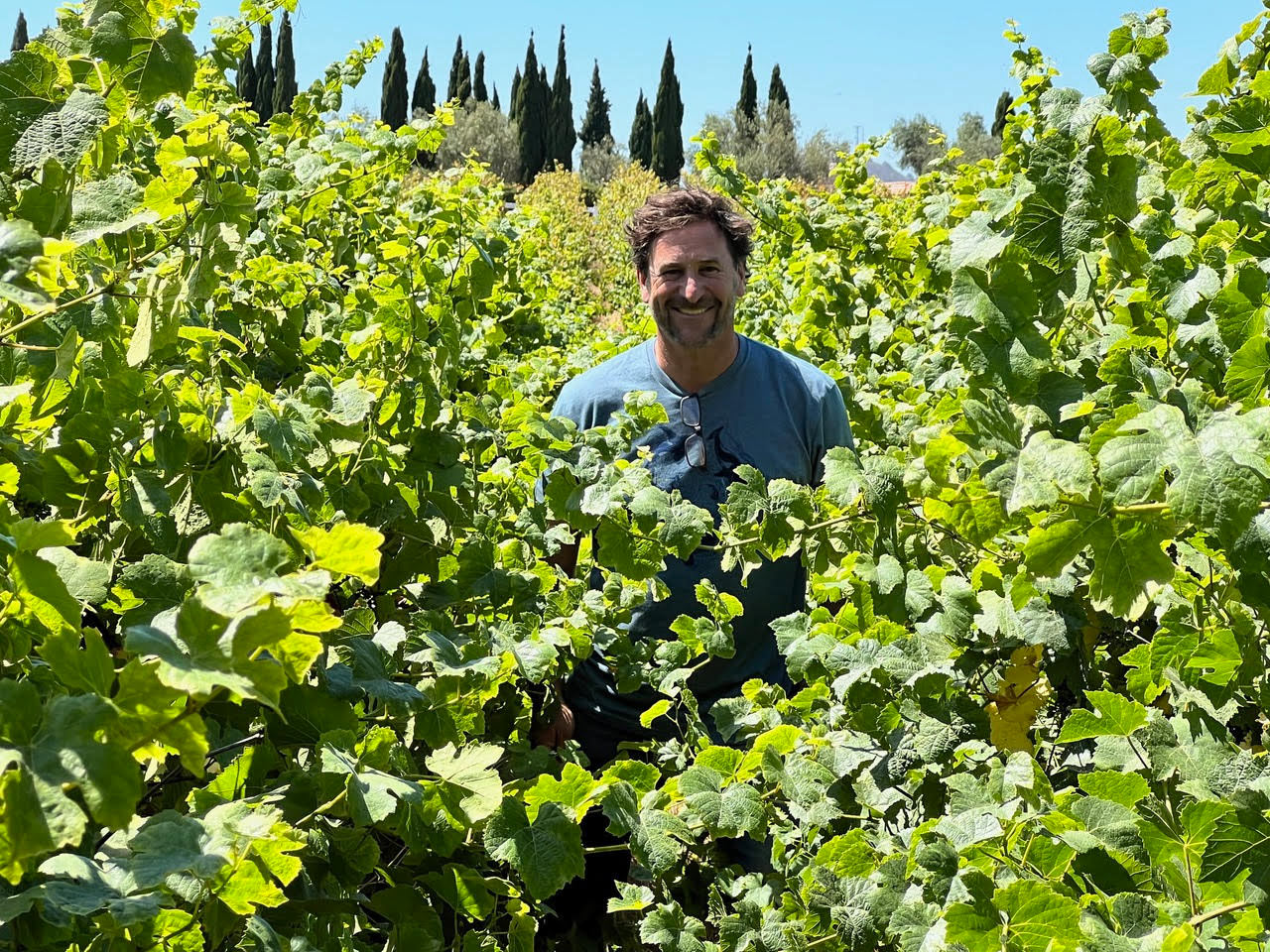 Lumen Vineyard